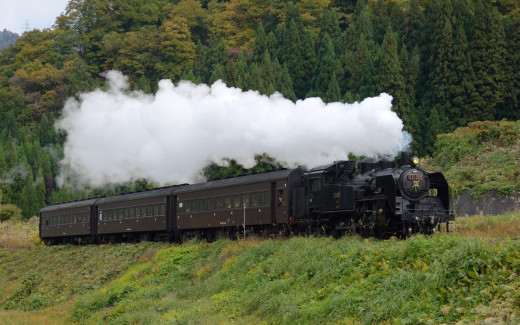 505363 (a): :1280x800